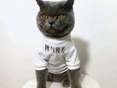 -必胜客(百联又一城店)