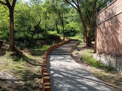 -白水寺森林公园