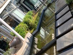 -大理老字号·舟渔的鱼野生菌海景餐厅(双廊店)