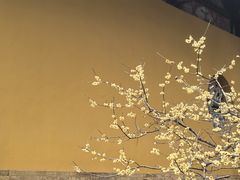 -西园寺素食(西园弄戒幢律寺店)