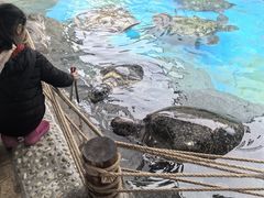 -海合安成都极地海洋公园