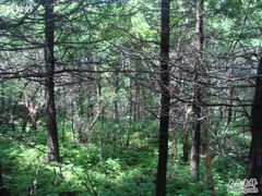 -白草畔自然风景区