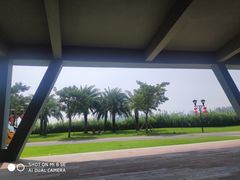 -野狸岛