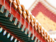 -故宫博物院(故宫)