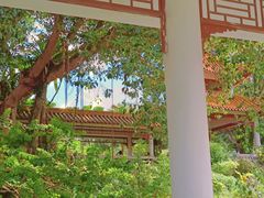 -深圳仙湖植物园