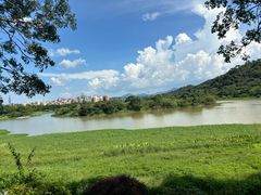 -风云岭森林公园