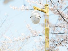 -西北湖绿化广场