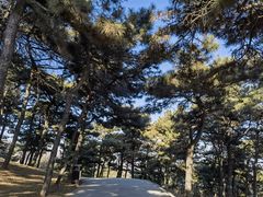 -北京西山国家森林公园