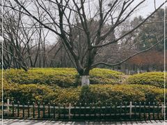 -范蠡湖公园