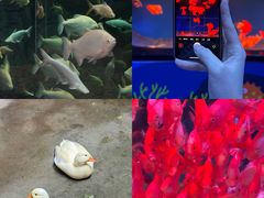 -南昌融创海世界