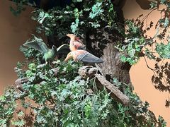 -辽宁古生物博物馆