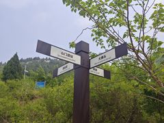 -佛慧山