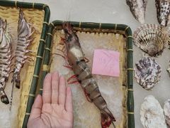 -蚝老板海鲜烧烤大排档(码头店)