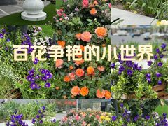 -上海第一八佰伴