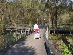 -西湖风景区-江洋畈生态公园