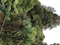 -怀托摩萤火虫洞