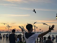 -东港音乐喷泉广场