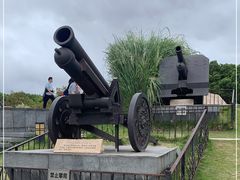 -上海吴淞炮台湾国家湿地公园
