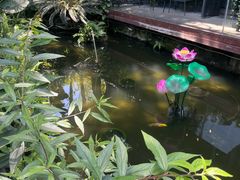 -大妙火锅·非物质文化遗产(东湖公园店)