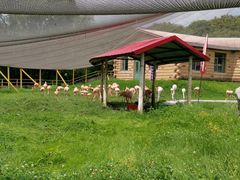 -哈尔滨北方森林动物园