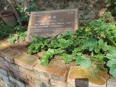 -玉泉观