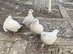 -昆明动物园