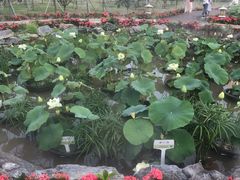 -龙环葡韵住宅式博物馆