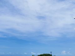 -大湾区中央湿地公园-十九涌