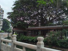 -荔湾湖公园