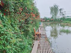 -同銮特种养殖场·龙虾垂钓