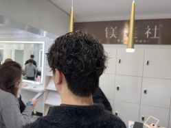 -镁连社·美联社