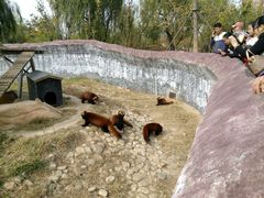 -临沂动植物园
