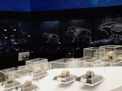 -北京周口店北京人遗址博物馆