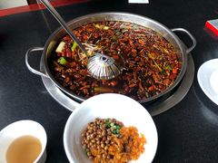 -川道拐耗儿鱼(旗舰店)