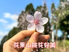 -老砂锅(城北店)