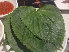 -玉善烧烤串城(长春总店)