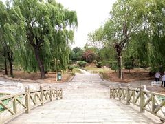 -泰山花样年华景区