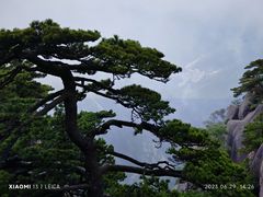 -黄山风景区