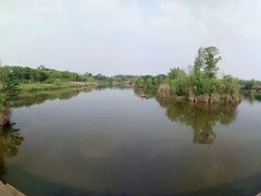 -白鹭湾湿地公园