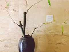 -九华山聚龙大酒店