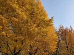 -玲珑塔公园