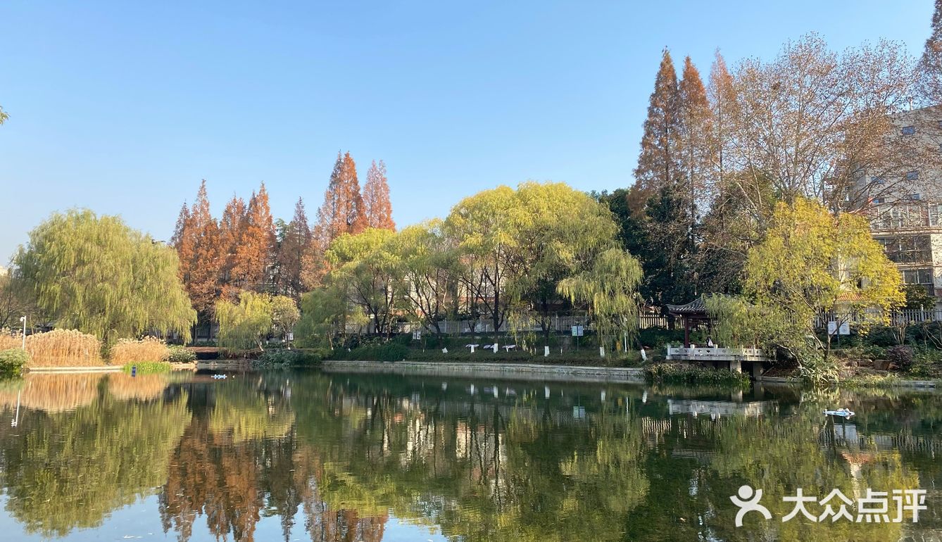 太阳晒在身上暖暖的，眼前景色赏心悦目，感觉岁月静好