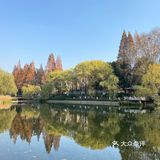 太阳晒在身上暖暖的，眼前景色赏心悦目，感觉岁月静好