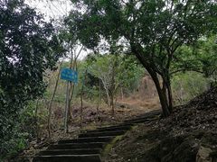 -风云岭森林公园