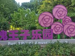 -大望京公园