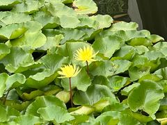 -大连植物园