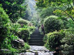-桃花岭景区