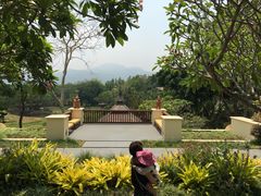 -四季酒店下午茶