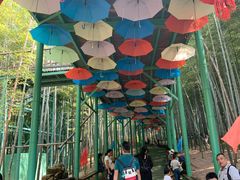 -陶祖圣境风景区