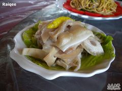 -上海都市菜园